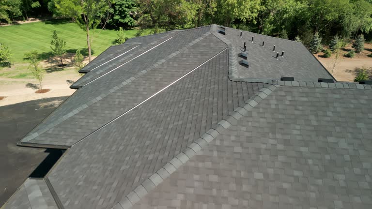 Best Solar Panel Roofing Installation  in Hudson, FL